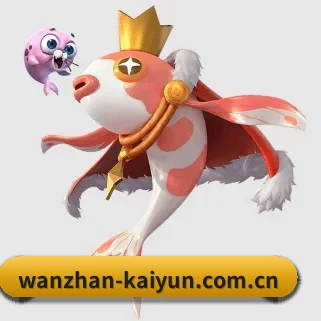 国际化进程 | KAIYUN