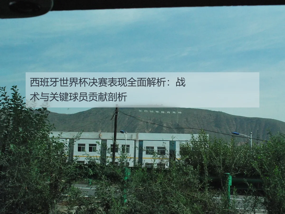 西班牙世界杯决赛表现全面解析：战术与关键球员贡献剖析 | KAIYUN